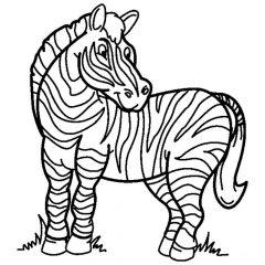 раскраска зебра