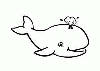 Дитеныш кита