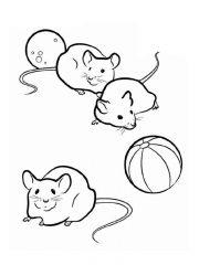 мыши с мячом