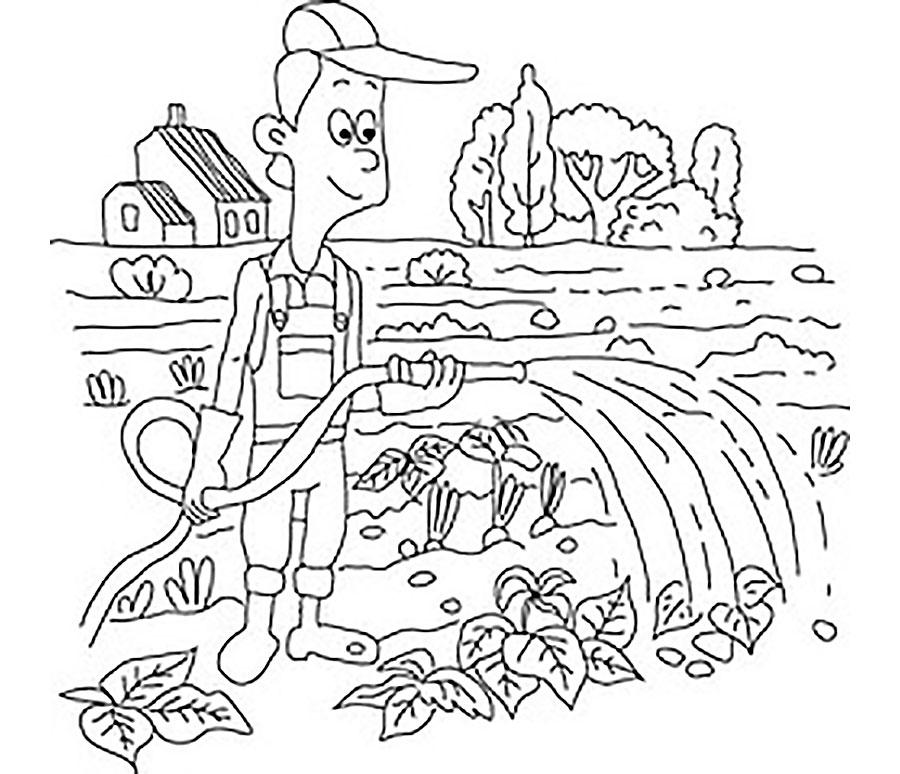 Раскраска по точкам «Что растёт в огороде?»