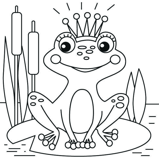 Раскраска лягушка Изображения – скачать бесплатно на Freepik