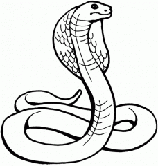 Змея с капюшоном