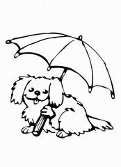Собачка с зонтом