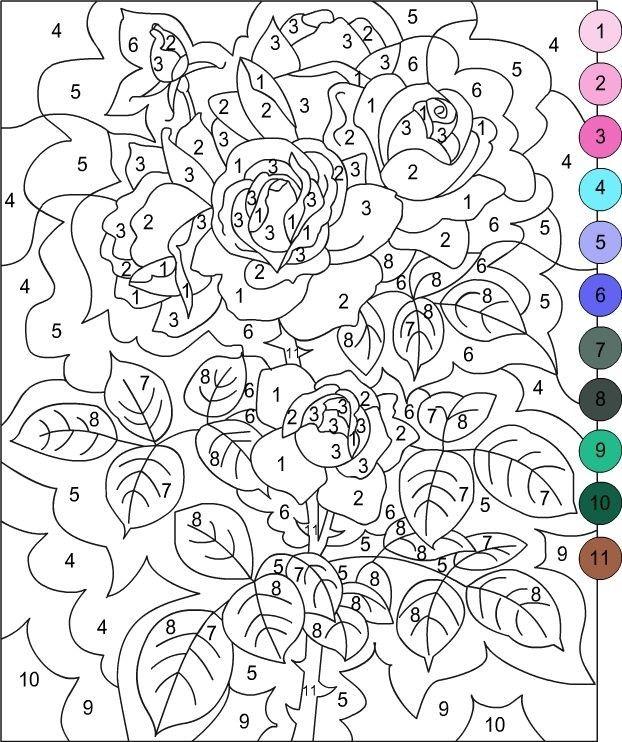  7 8 