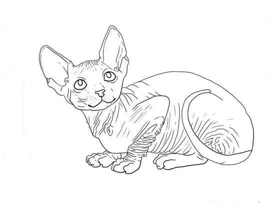 Sphinx cat | Coloring pages for children 3, 4, 5, 6, 7, 8 years old: 8 coloring pages