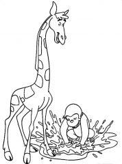 Жираф и обезьяна
