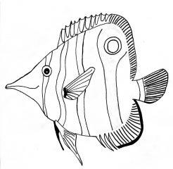 Раскраска рыбка