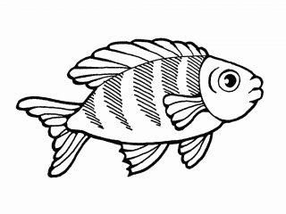Рыбка раскраска
