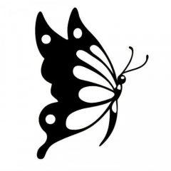 Летящая бабочка