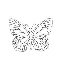 Трафарет 3д ручки бабочка