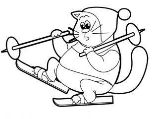 Кот на лыжах