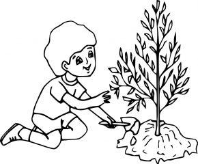 Мальчик садит растение
