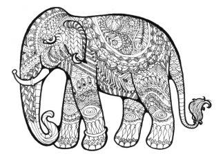раскраска слон антистресс