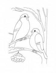 Две птицы на веточке печатать