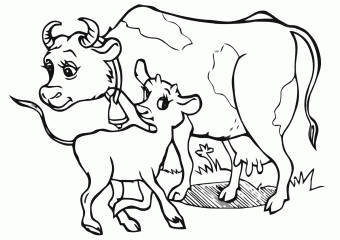 Раскраска Теленок и корова