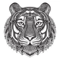 Раскраска Тигр антистресс