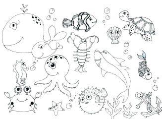 Картинка морские животные
