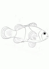 Картинка Рыба Клоун