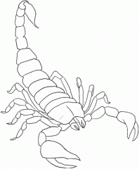 Картинка скорпион
