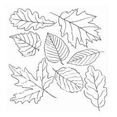 Картинка Осенние листья