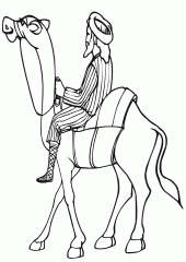 Всадник на верблюде
