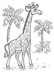 Жираф на фоне пальм