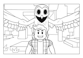 Сова рядом с игроком